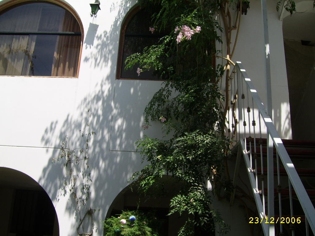 Hostal Camiluz Nazca Exterior foto