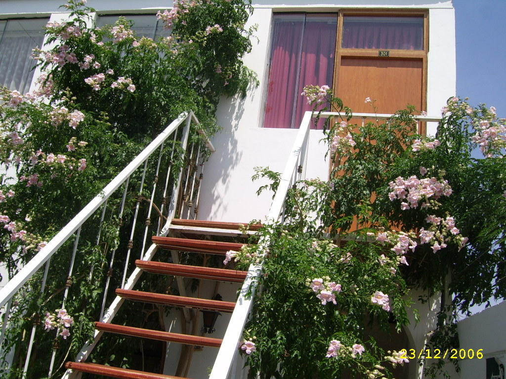 Hostal Camiluz Nazca Exterior foto